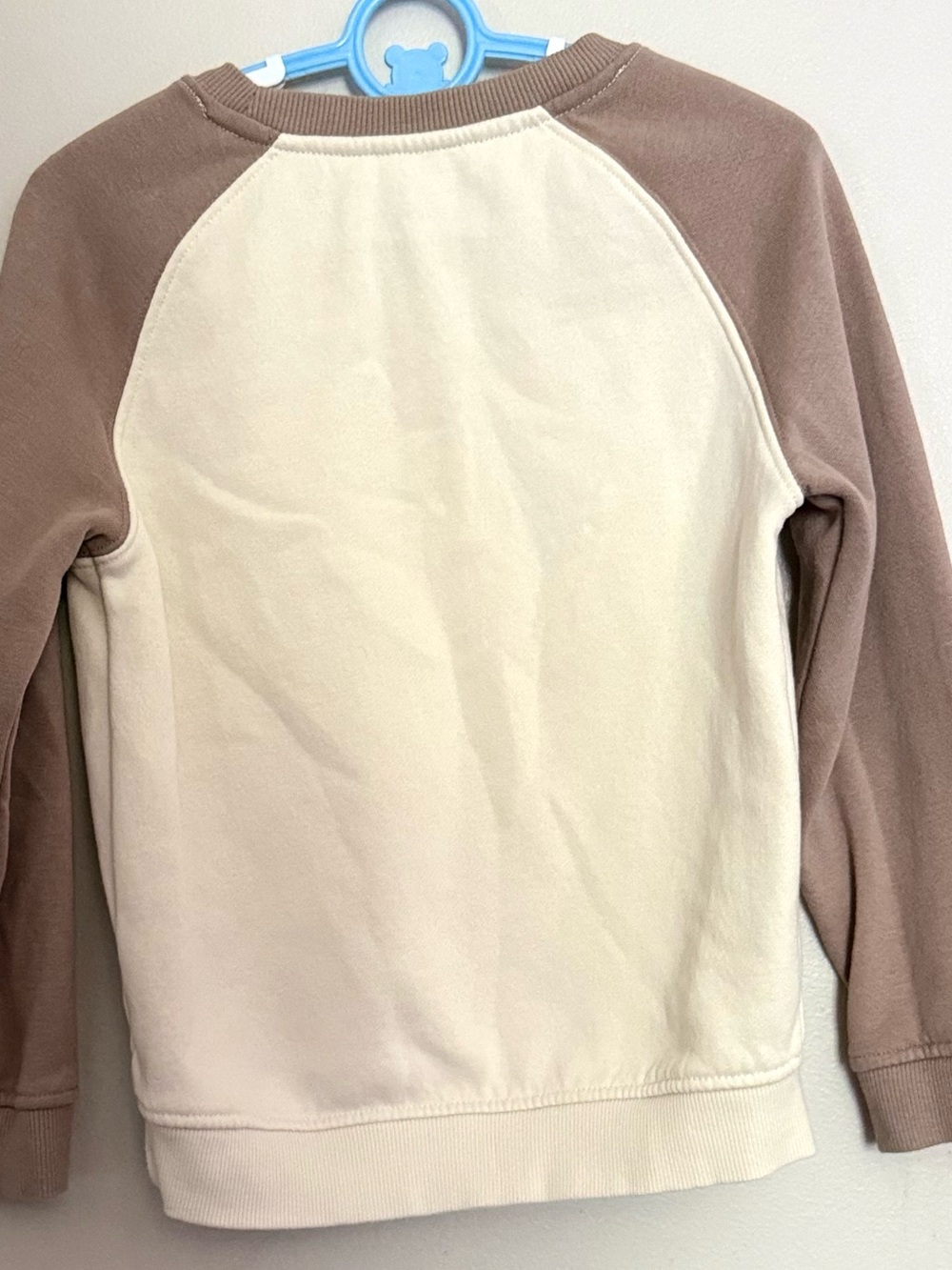 Colorblock Sweatshirt - Picture 3 of 3